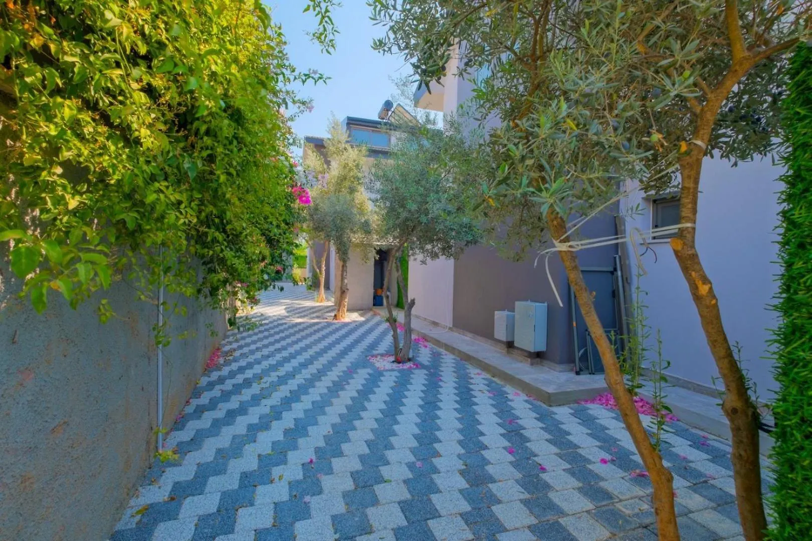 Villa Alisen 2 Fethiye